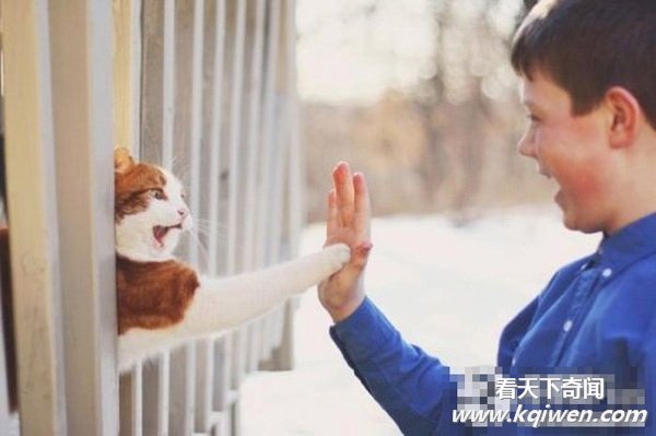 忍不住笑翻的酷图